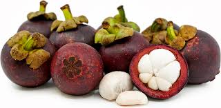 Mangosteen(Garcinia kydia Roxb)